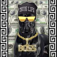 Thug Life Photo Editor – MLG Stickers on 9Apps