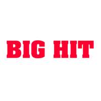 Big Hit Kickboxing Studios on 9Apps