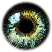 Filters for pictures cam icon