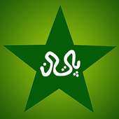 Pakistan Cricket News Lite