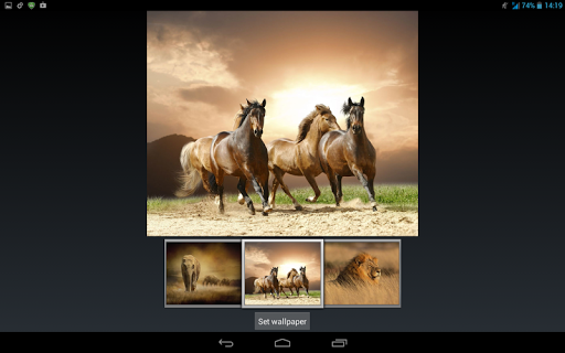 Savanna Animals Theme screenshot 12