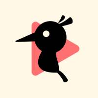 Pinpisode—YouTube&Spotify Note