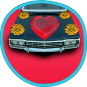 Wedding Car Decoration icon