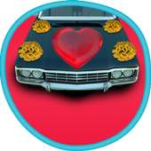 Wedding Car Decoration