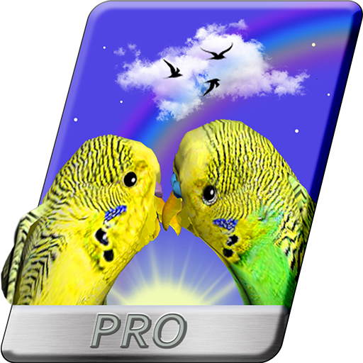 PRO Parrots 3D Live Wallpaper Love Birds icon
