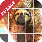 Sloth Farm Puzzle Game icon