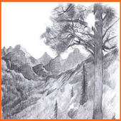 Pencil Art Gallery icon