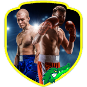Boxing Training (Guide) icon