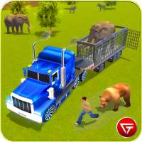 Animal Transport Truck Driving