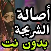 اغاني اصاله الشريجه بدون نت 2019 حصريا icon