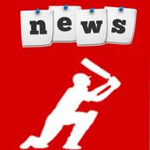 Dream 11 Cricket icon