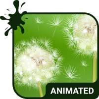 Dandelion Live Wallpaper Theme