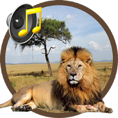 Learning Animal Sounds And Habitats icon