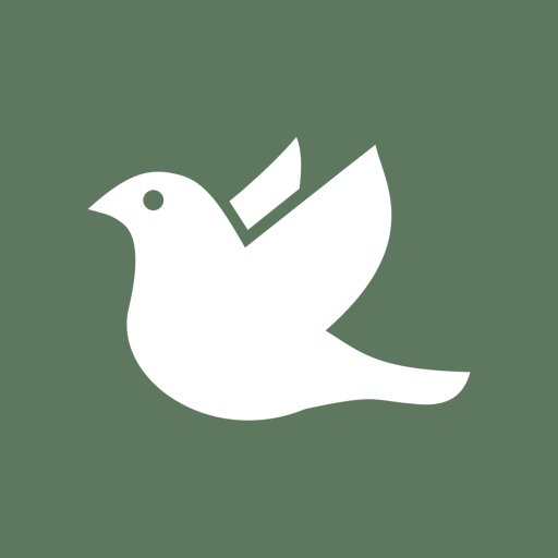 Universal Love Peace &amp; Joy icon