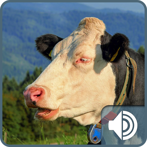 Cow Ringtones icon