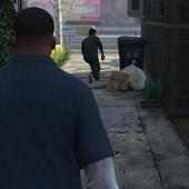 Guide for GTA 5 (2016)