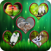Pair Of Birds Wallpapers – Birds Couple Wallpapers icon