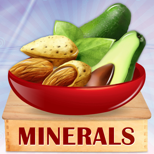 Minerals &amp; Antioxidants Foods icon