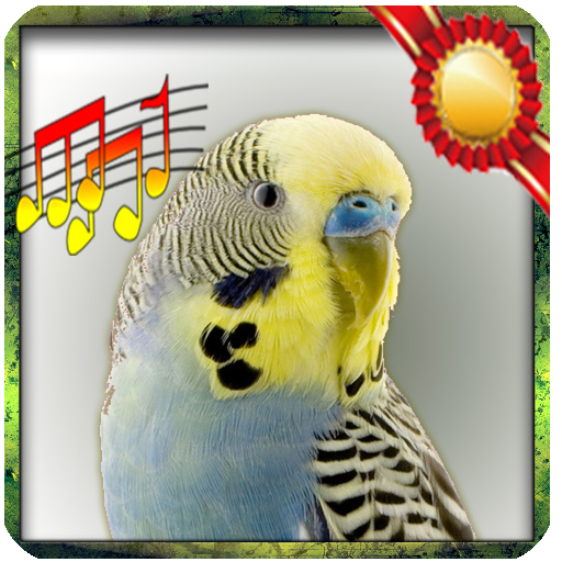 Budgie sounds Chirping icon