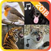 Sonneries animaux gratuites 2019, nouvelles sons on 9Apps