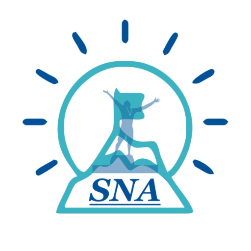 Success Nursing Academy иконка