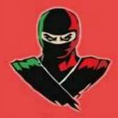 NSE Ninja