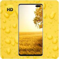 Yellow 30  Wallpaper Hot