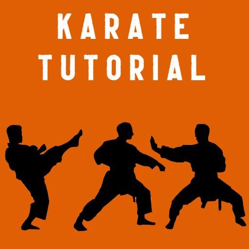 Learn Karate icon