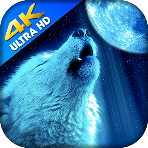 Wolf Wallpapers HD - Werewolf Wallpaper icon