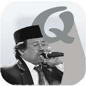 International Qori Muammar ZA on 9Apps