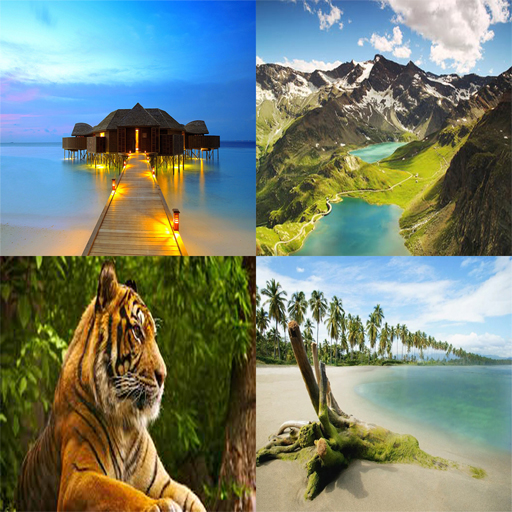 Nature Wallpaper icon