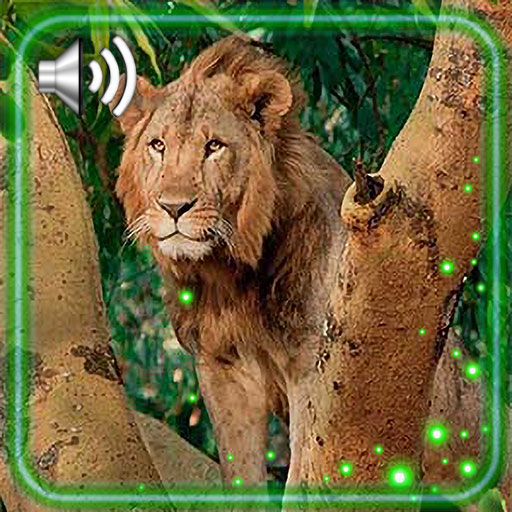 Lion King Jungle icon