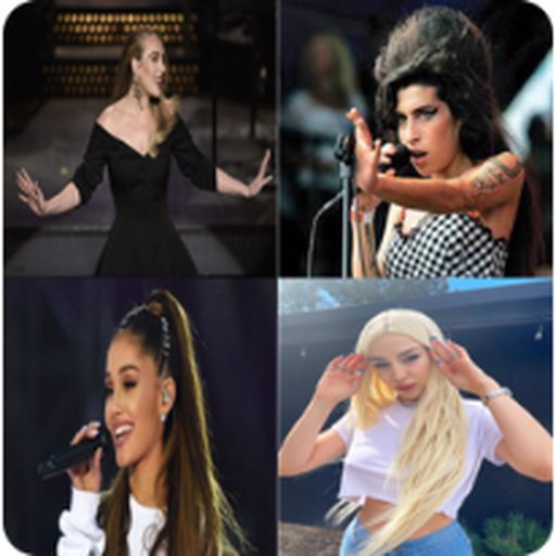 guess the singer icon