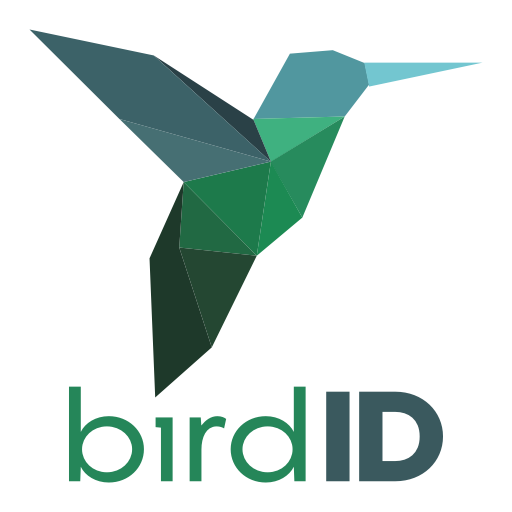 Bird ID icon