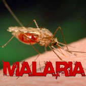Malaria Info Guide icon