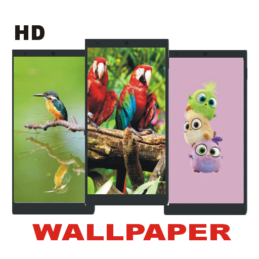 Bird Wallpaper Full HD icon