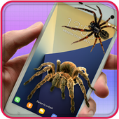 Spider On Screen Prank icon