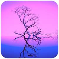 HD Backgrounds Wallpaper on 9Apps