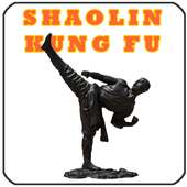 Shaolin Kung Fu Training