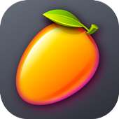 Mango VPN