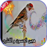 صوت مايسترو الحسون بدون انترنت on 9Apps