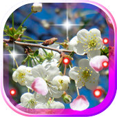 Apples Flowers live wallpaper icon