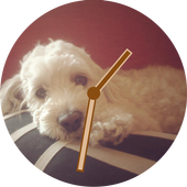 dog watch face icon