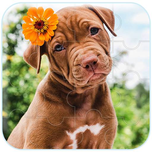 Dogs &amp; puppies jigsaw puzzles icon