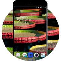 Theme for R1x HD for Free