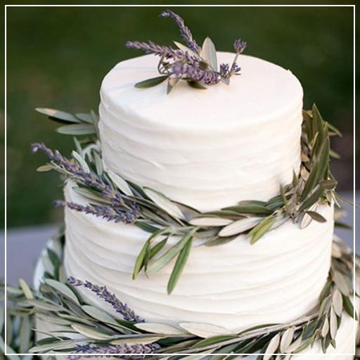 Wedding Cake Recipes Offline App icon