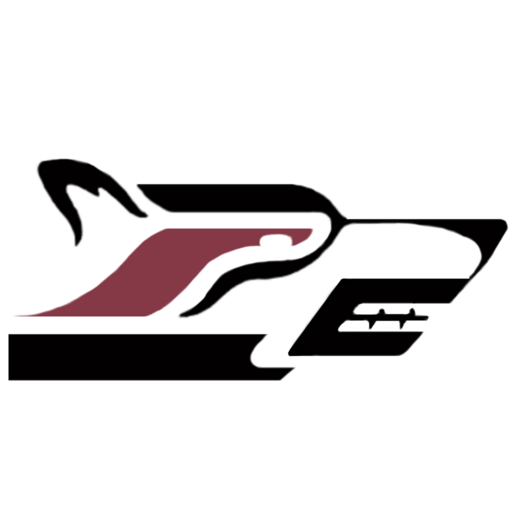 KP Timberwolves иконка