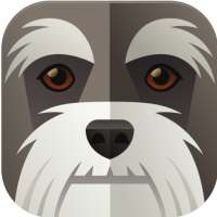 Test - ¿Qué animal eres?