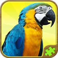 Animal Puzzle Games