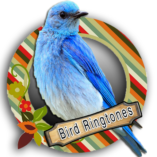 Top Bird Ringtones icon